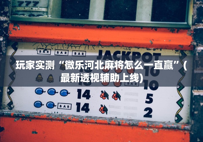 揭秘“河洛杠次赢多输少技巧!详细开挂教程
