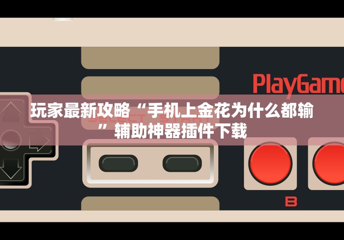 内测功能“划水麻将的打法和技巧	”详细辅助软件教程