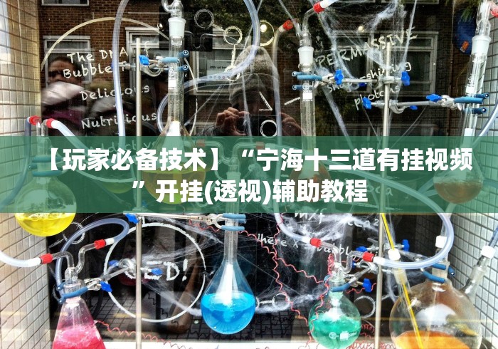 【玩家必备技术】“宁海十三道有挂视频”开挂(透视)辅助教程