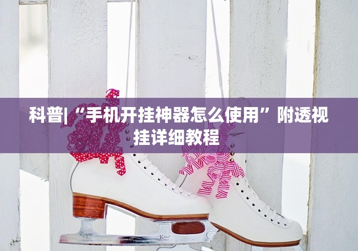 科普|“手机开挂神器怎么使用	”附透视挂详细教程 