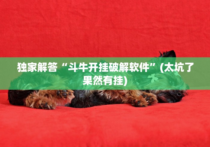 可用版本“微乐麻将小程序必赢方法”(透视曝光猫腻)