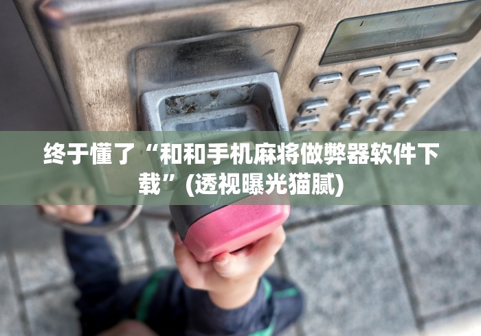 终于懂了“和和手机麻将做弊器软件下载	”(透视曝光猫腻)