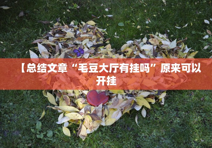 【总结文章“毛豆大厅有挂吗”原来可以开挂