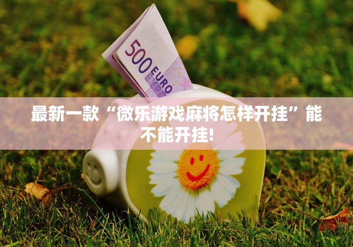 最新一款“微乐游戏麻将怎样开挂”能不能开挂!