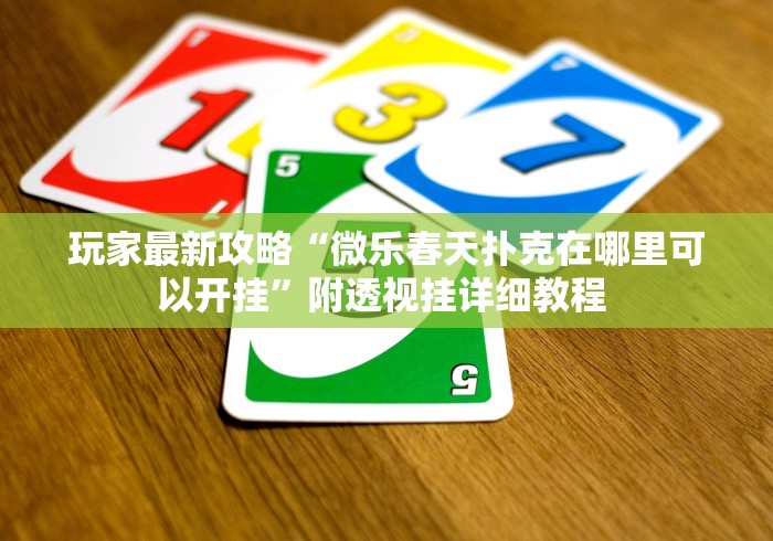 玩家最新攻略“微乐春天扑克在哪里可以开挂	”附透视挂详细教程 