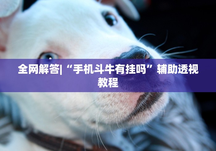 全网解答|“手机斗牛有挂吗”辅助透视教程