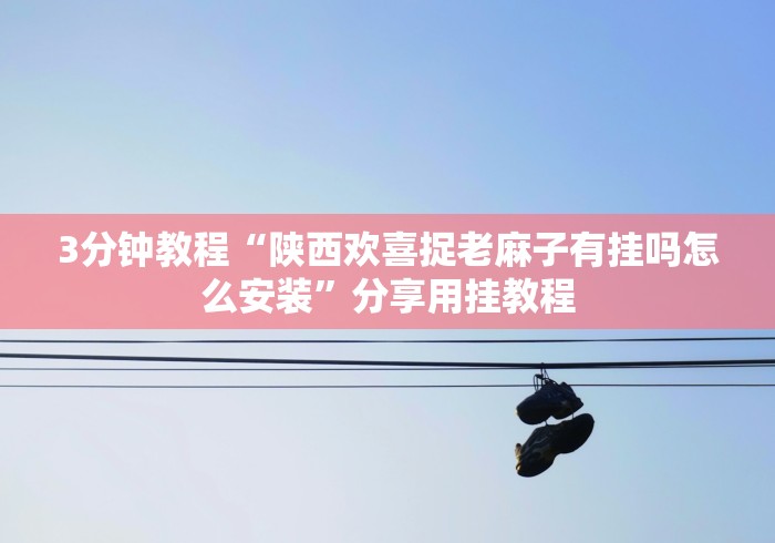 3分钟教程“陕西欢喜捉老麻子有挂吗怎么安装”分享用挂教程