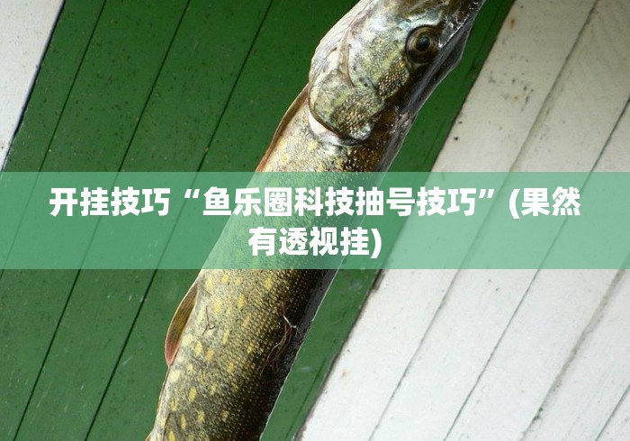 开挂技巧“鱼乐圈科技抽号技巧”(果然有透视挂)