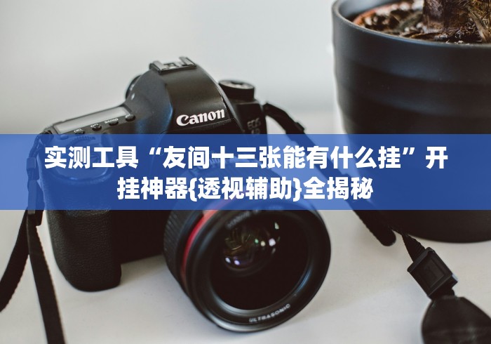 实测工具“友间十三张能有什么挂	”开挂神器{透视辅助}全揭秘
