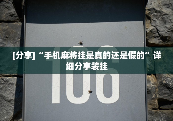 盘点"微信手机麻将怎么开挂(透视挂真的假的)