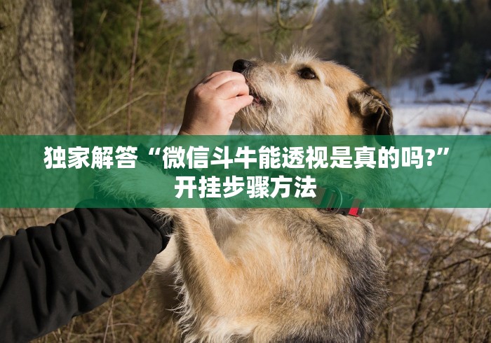 我来告诉你“天王大厅透视软件下载{透视辅助}全揭秘