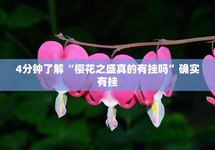 2026玩家推荐:爱摩罗麻将怎么开挂”附开挂脚本