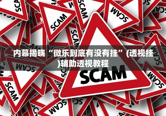 内幕揭晓“微乐到底有没有挂”(透视挂)辅助透视教程