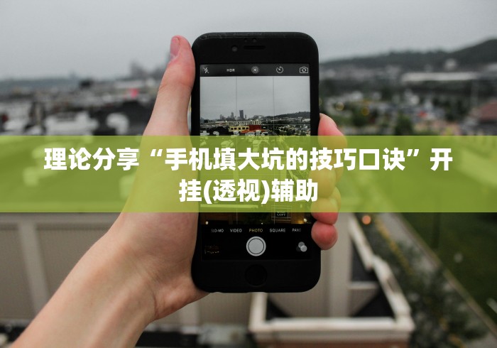 理论分享“手机填大坑的技巧口诀	”开挂(透视)辅助