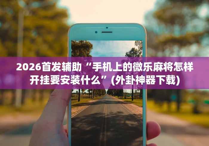 2026首发辅助“手机上的微乐麻将怎样开挂要安装什么”(外卦神器下载)