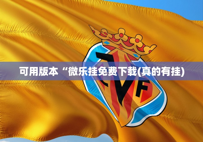 盘点闲来安徽麻将可以开挂吗	”(果然有透视挂)