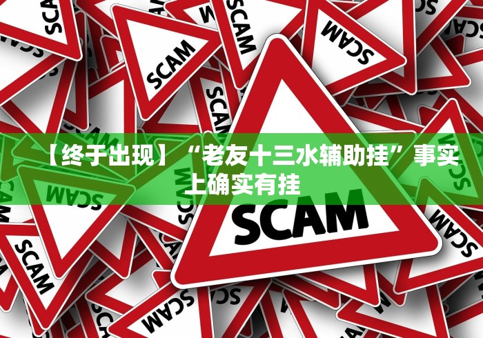 【终于出现】“老友十三水辅助挂”事实上确实有挂