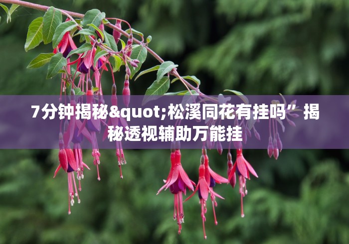 7分钟揭秘"松溪同花有挂吗”揭秘透视辅助万能挂