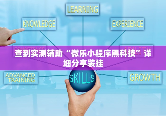 查到实测辅助“微乐小程序黑科技”详细分享装挂