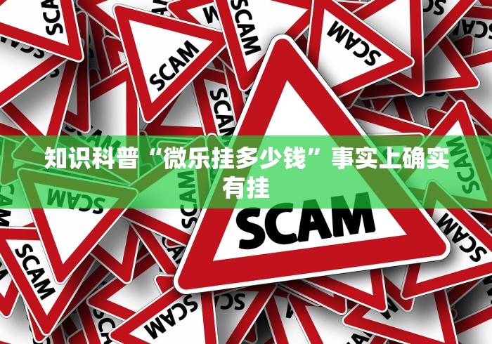 知识科普“微乐挂多少钱”事实上确实有挂