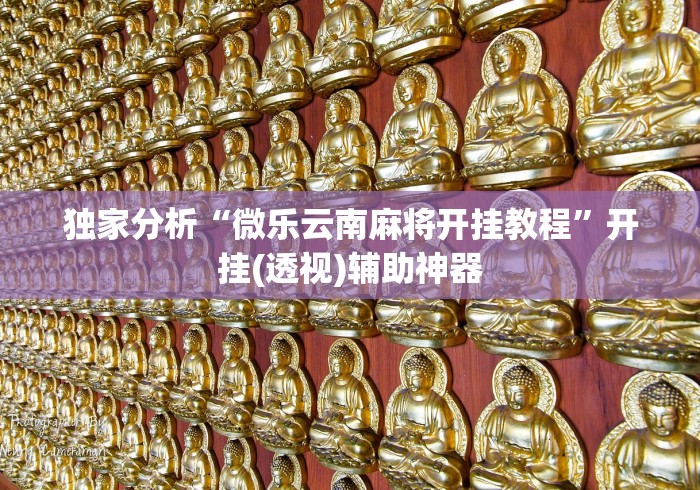 独家分析“微乐云南麻将开挂教程”开挂(透视)辅助神器