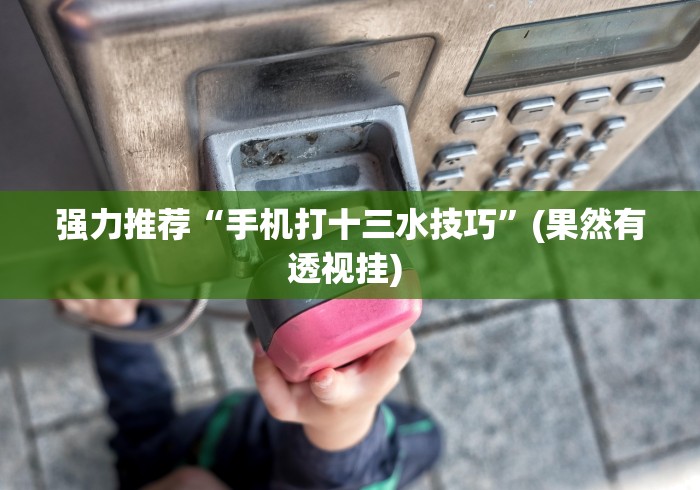 强力推荐“手机打十三水技巧”(果然有透视挂) 