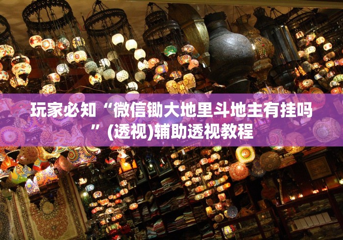 教程开挂辅助:“福建旺旺麻将仙游能包赢吗”(详细开挂教程)