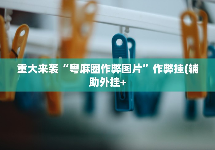 重大来袭“粤麻圈作弊图片”作弊挂(辅助外挂+