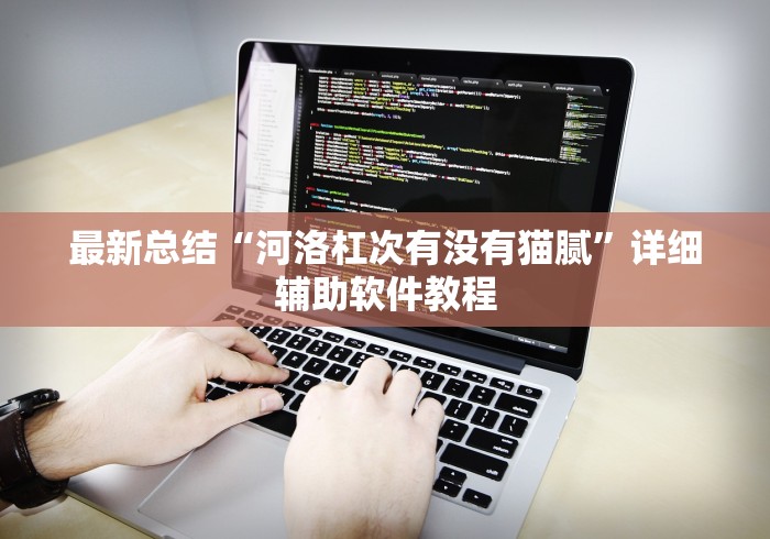 最新总结“河洛杠次有没有猫腻	”详细辅助软件教程