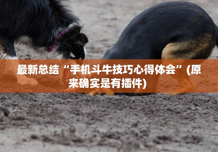 玩家秒懂“新众亿开挂是不是假的”-玩家曝光开挂流程