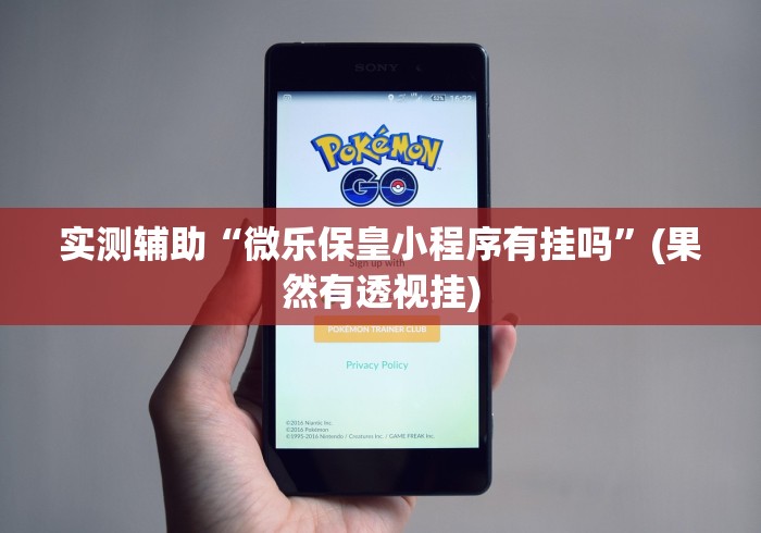 实测辅助“微乐保皇小程序有挂吗”(果然有透视挂)