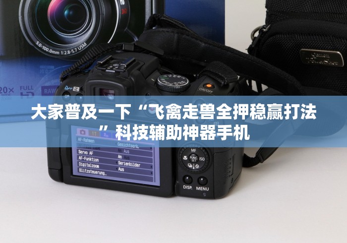 大家普及一下“飞禽走兽全押稳赢打法”科技辅助神器手机