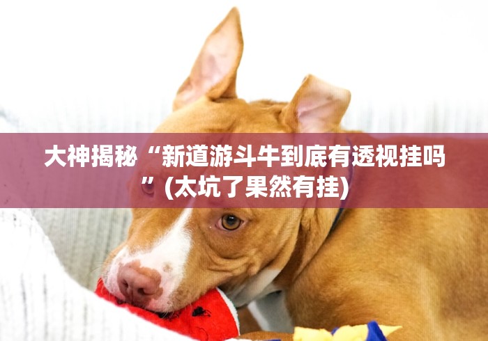 大神揭秘“新道游斗牛到底有透视挂吗	”(太坑了果然有挂)