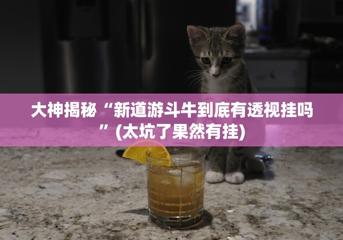 大神揭秘“新道游斗牛到底有透视挂吗”(太坑了果然有挂)