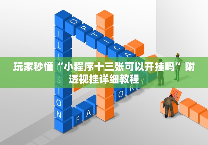 玩家秒懂“小程序十三张可以开挂吗”附透视挂详细教程