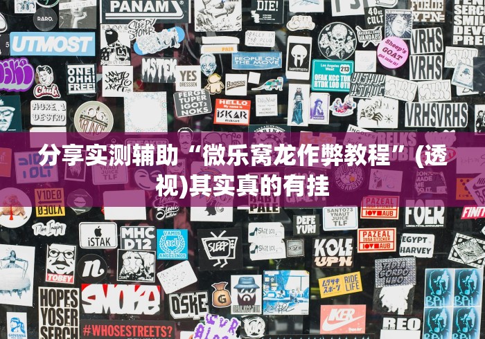 分享实测辅助“微乐窝龙作弊教程”(透视)其实真的有挂