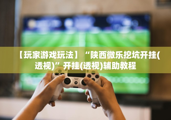 【玩家游戏玩法】“陕西微乐挖坑开挂(透视)”开挂(透视)辅助教程