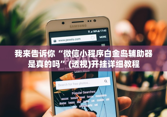 我来告诉你“微信小程序白金岛辅助器是真的吗”(透视)开挂详细教程
