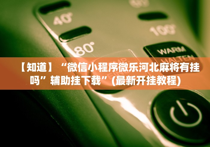 科普实测“衡阳跑胡子技巧	”详细辅助透视