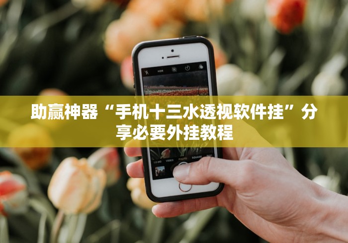助赢神器“手机十三水透视软件挂”分享必要外挂教程