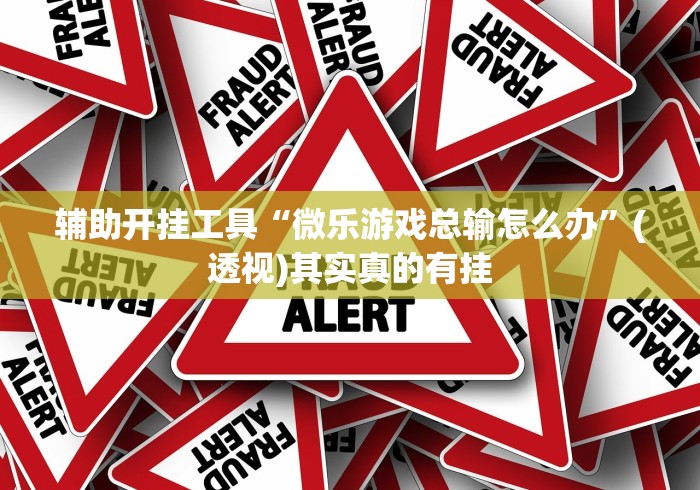 辅助开挂工具“微乐游戏总输怎么办	”(透视)其实真的有挂
