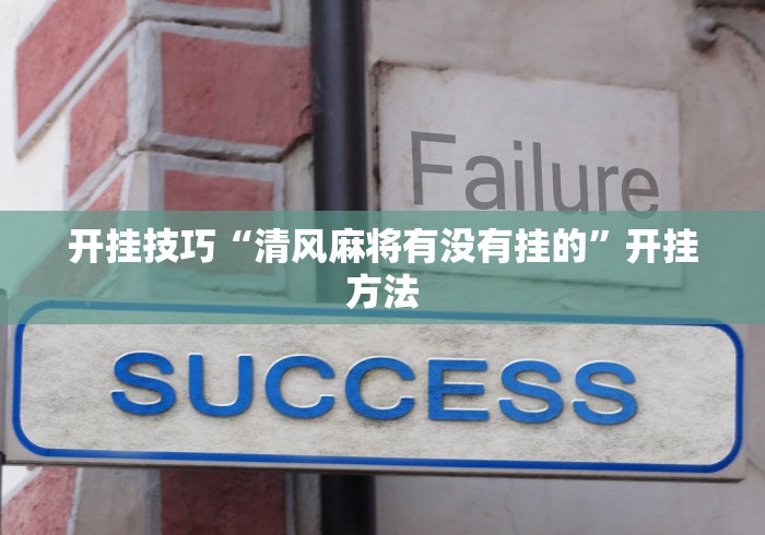 开挂辅助工具“优优乐暗堡透视辅助工具”(原来确实是有插件)