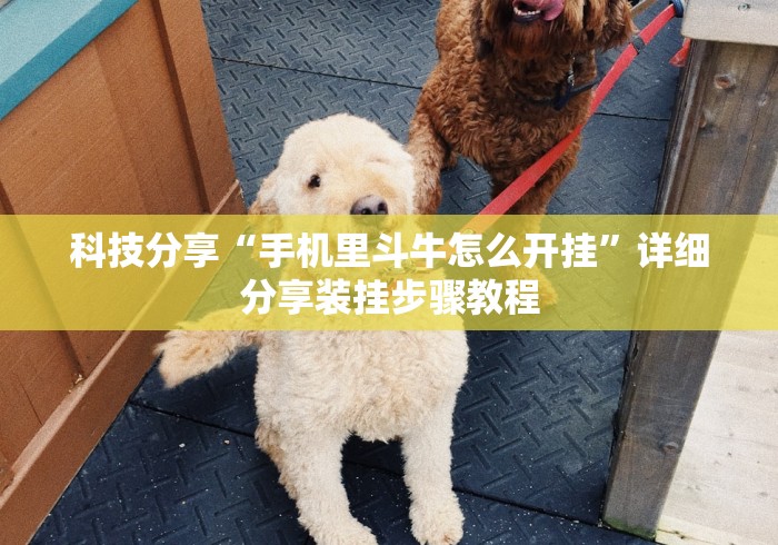 科技分享“手机里斗牛怎么开挂	”详细分享装挂步骤教程