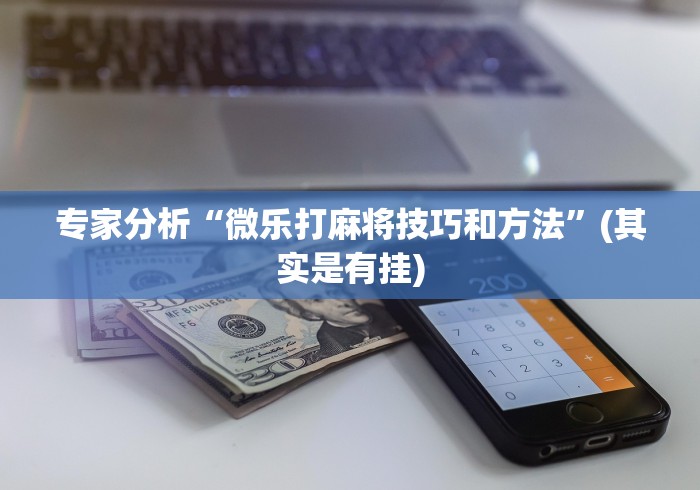 专家分析“微乐打麻将技巧和方法”(其实是有挂)