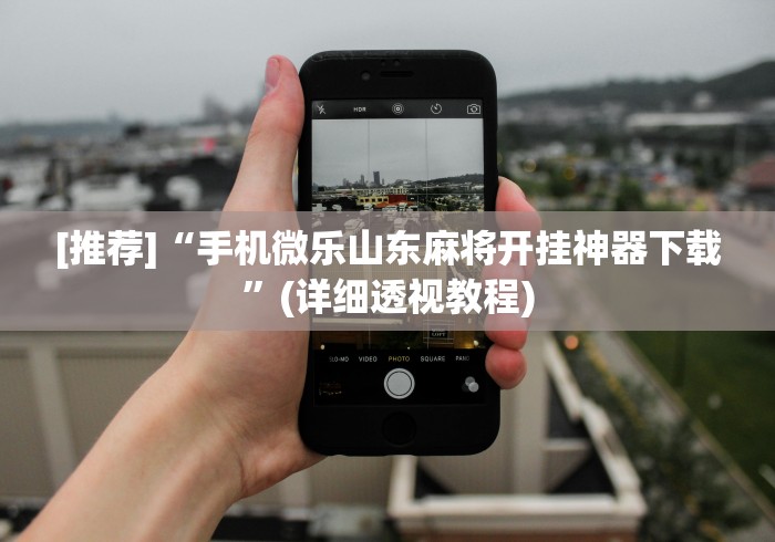 必备教程“微乐二人麻将开挂”原来有神器下载！