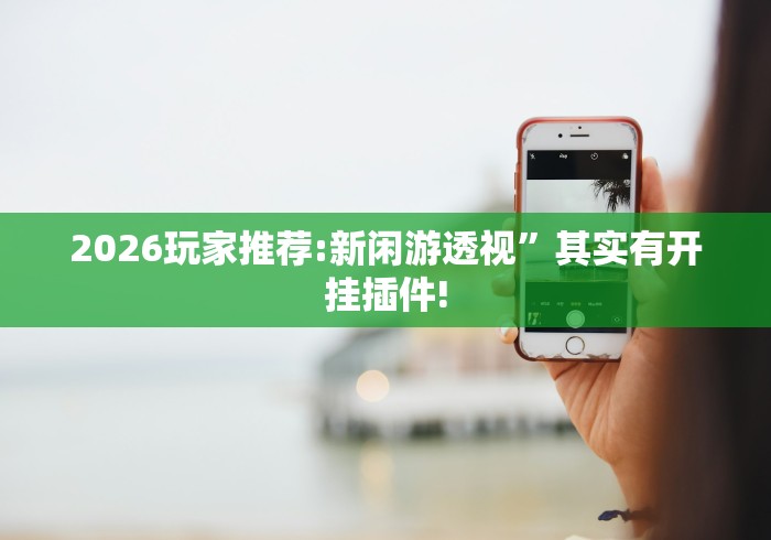 2026玩家推荐:新闲游透视”其实有开挂插件!