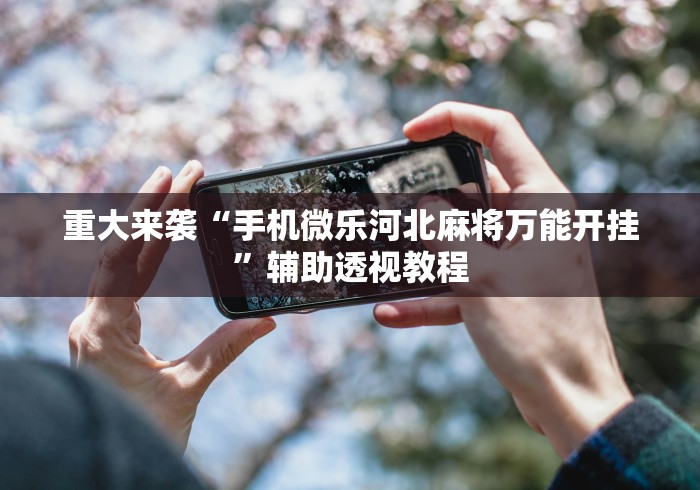 重大来袭“手机微乐河北麻将万能开挂”辅助透视教程