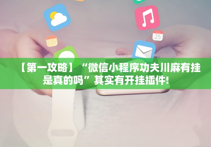 【第一攻略】“微信小程序功夫川麻有挂是真的吗”其实有开挂插件!