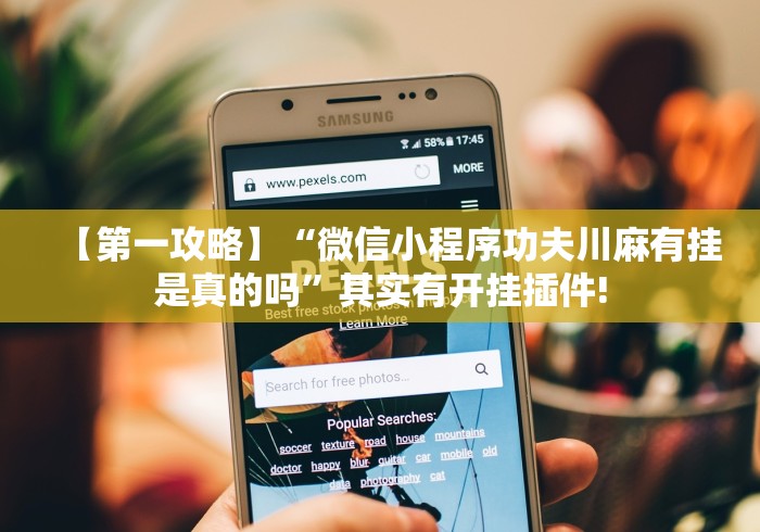 【第一攻略】“微信小程序功夫川麻有挂是真的吗	”其实有开挂插件!
