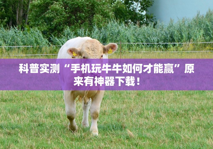 科普实测“手机玩牛牛如何才能赢”原来有神器下载！